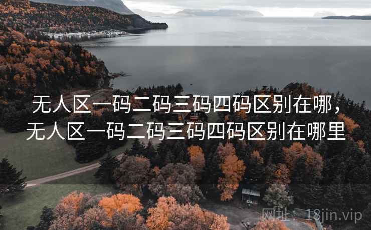 无人区一码二码三码四码区别在哪,无人区一码二码三码四码区别在哪里